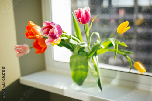 Flowers in the vase. Home sweet home. Sunny day. Beautiful spring. Bouquet on the women?s day. © Svetlana