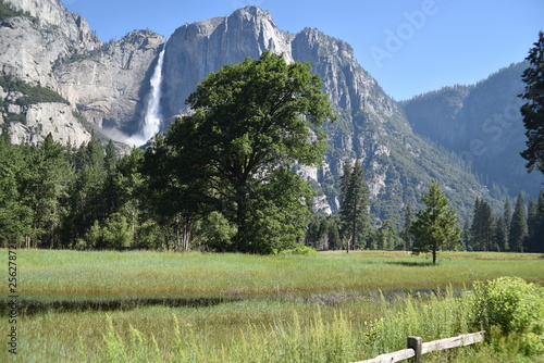 Yosemite National Park, CA., U.S.A. June 25, 2017. Yosemite Falls seen from the Valley floor meadow from the Southside drive.  Dynamic Upper and Lower Yosemite Falls peak water fall. photo