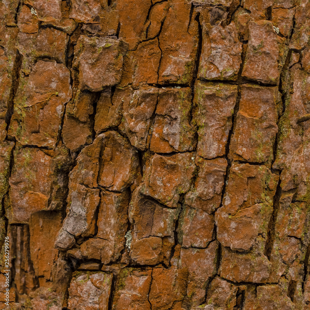 Seamless tree bark background. Brown tileable texture of the old tree. Seamless tree bark background. Brown tileable texture of the old tree.