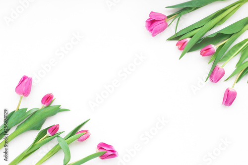 Fototapeta Naklejka Na Ścianę i Meble -  Spring flowers. Tulip on white background. Flat lay, top view