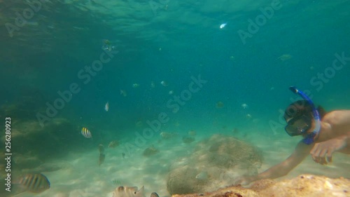 4k Slowmotion shot of young caucasian man snorkeling in a mask and breathing tube in a a beautiful sea with lots of tropical fishes photo