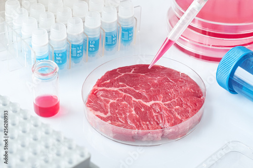 Obraz na płótnie Meat sample in open  disposable plastic cell culture dish in modern laboratory or production facility