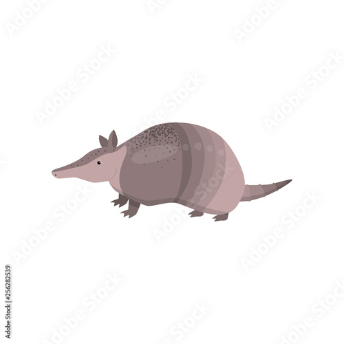 Banded armadillo transparent isolated on white background