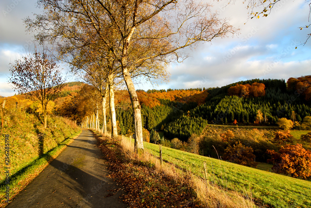 idillic autumn, sauerland germany. idillic autumn, sauerland germany.