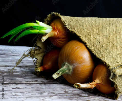 sack of onions on old brown table with black bakground