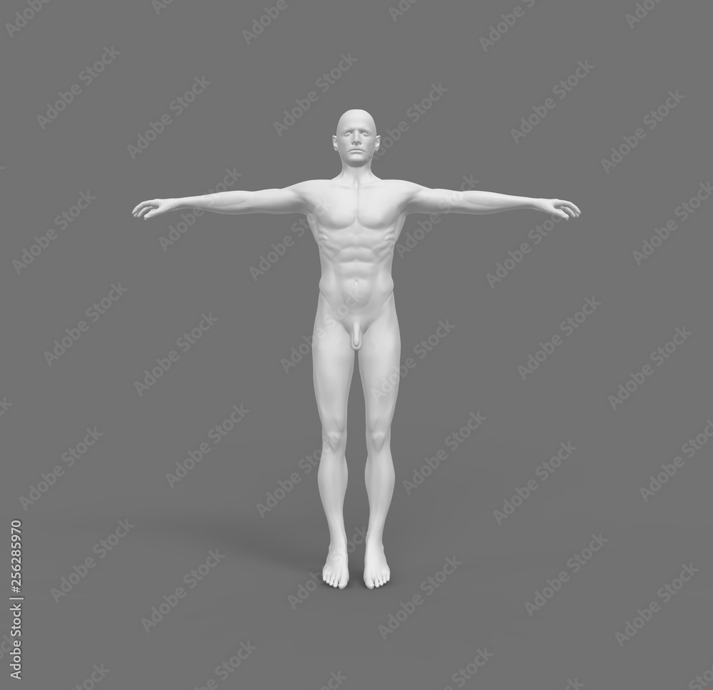 Human Man White Body 3D Rendering Human Man White Body 3D Rendering