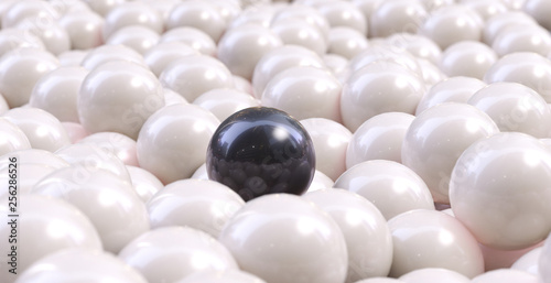 perle noire sur perles blanches