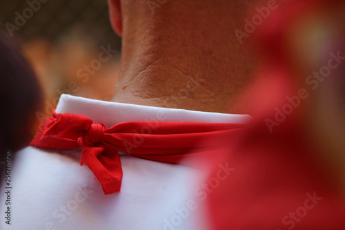 Fiestas de San Fermín, Sanfermines, Pamplona, España