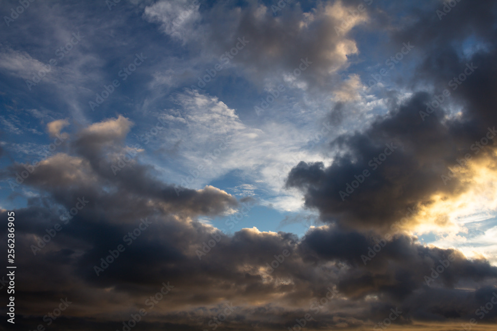 Fototapeta premium Storm clouds dyed golden colors during sunset.