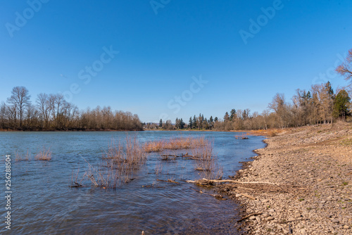 River in spring