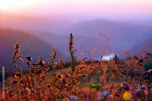 coucher de soleil sur les montagnes vosgiennes depuis le sommet du hohneck