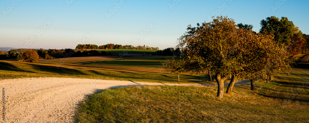 Fototapeta premium panorama, autumn scene along touristic route called Romantic Road (Romantische Strasse), Germany.