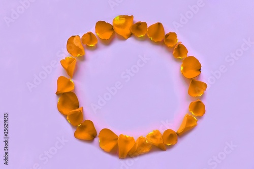 circle of rose petals