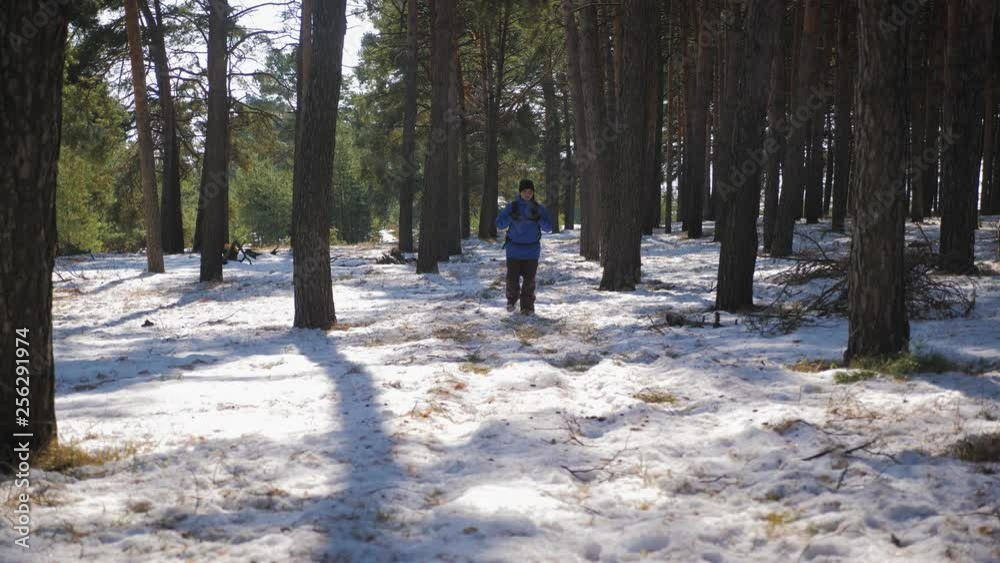 Hiker with backpack walking in the pine forest covered with deep snow. Winter activity and recreation concept. Hiker with backpack walking in the pine forest covered with deep snow. Winter activity and recreation concept.