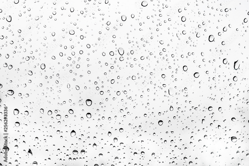 Water drops on sheer glass. Rain drops on white background. Black and white  photograph of wet glass or drops of water on white texture. Stock Photo |  Adobe Stock