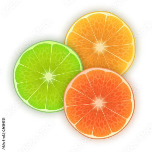 Fresh orange  lime and lemon slices on white background  set of bright citrus fruits  orange slices for your project