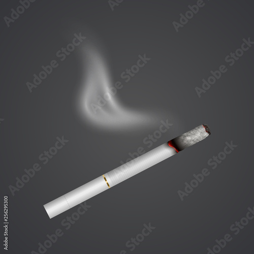 Realistic cigarette with smoke, fire isolated on background. Tobacco. Narcotic problem concept, Vector Eps 10 illustration
