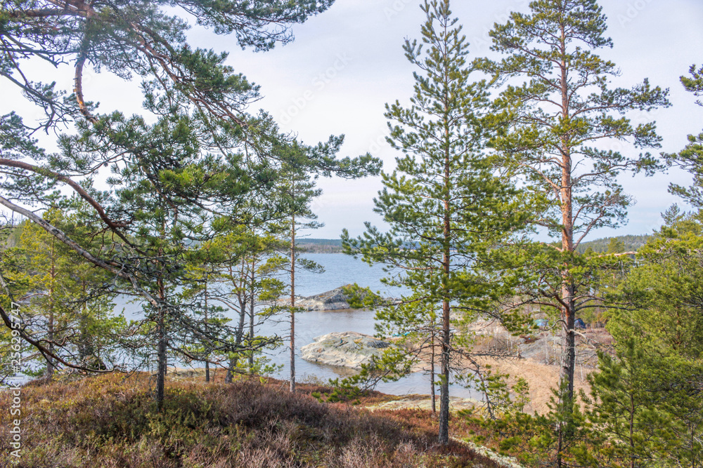 Cold Northern spring on lake Ladoga Cold Northern spring on lake Ladoga