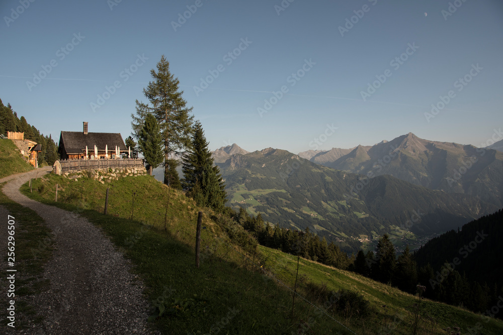 Mountain panorama in the Zillertal in Austria with house and tree