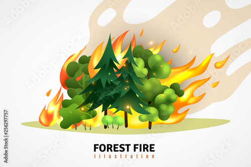 Forest Fire Cartoon Illustration