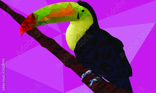 Low poly toucan