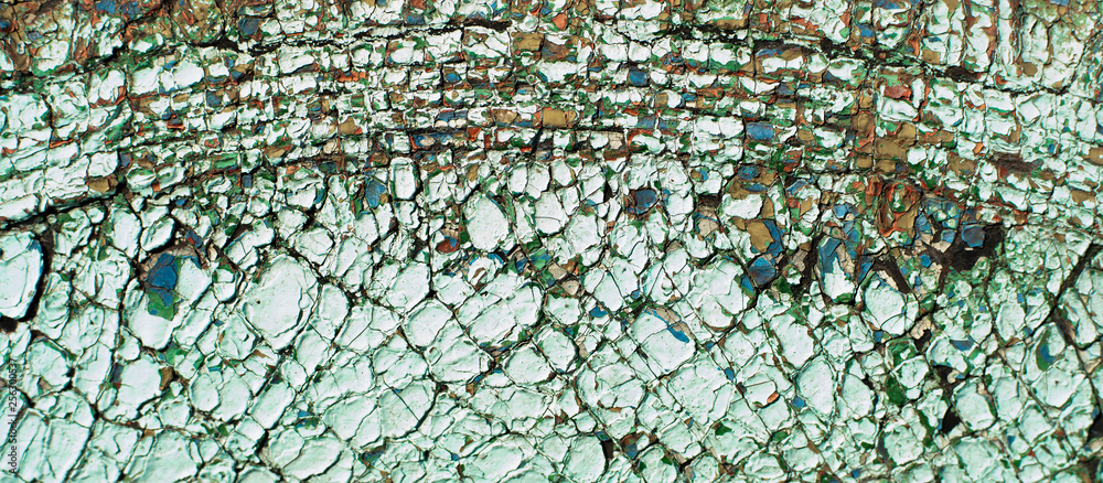 Fototapeta premium background of old paint on rough texture 