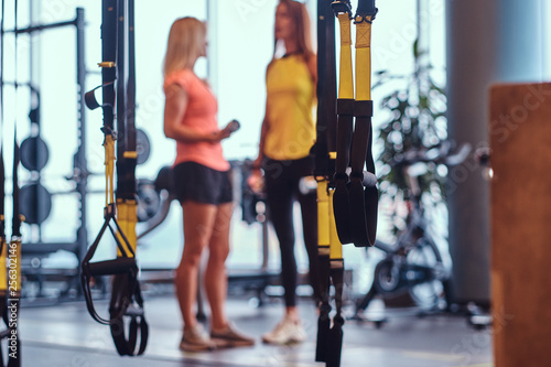 Sports suspension straps in the foreground and two fitness girls talking in the background in the modern gym.