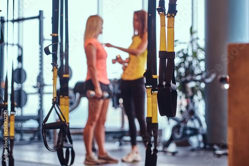 Sports suspension straps in the foreground and two fitness girls talking in the background in the modern gym.