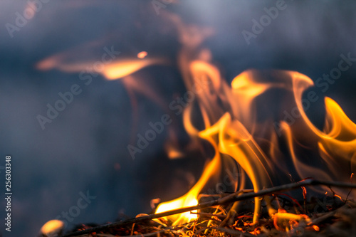 The flames of the fire burning the herb in the evening field, turning into coals and ashes with smoke. Soft focus and texture.