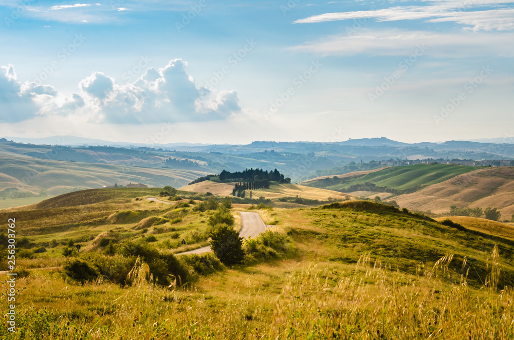 typical Tuscany landscape with hills and cypress trees