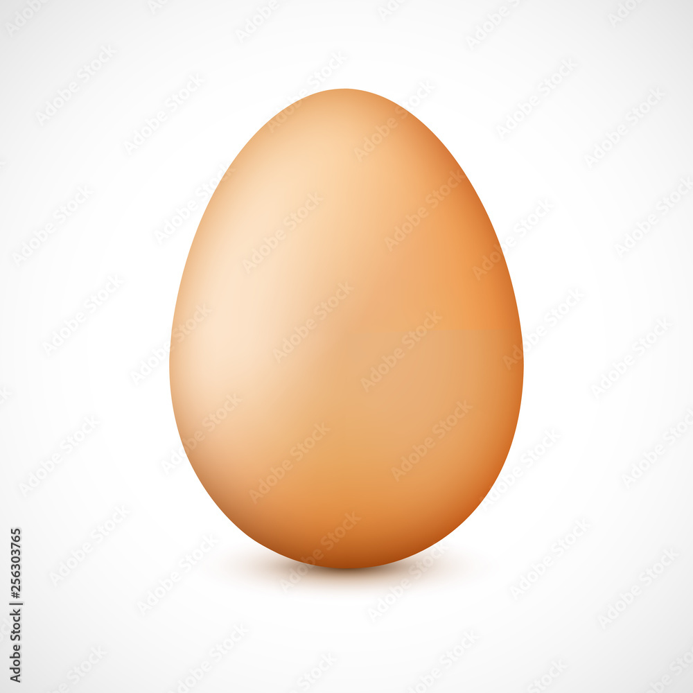 Realistic brown egg with shadow Realistic brown egg with shadow