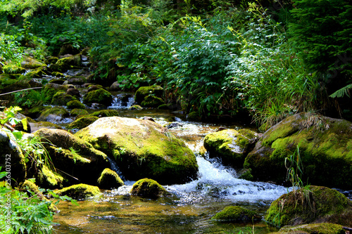 plainfaing et sa riviere au pied de la montagne vosgienne