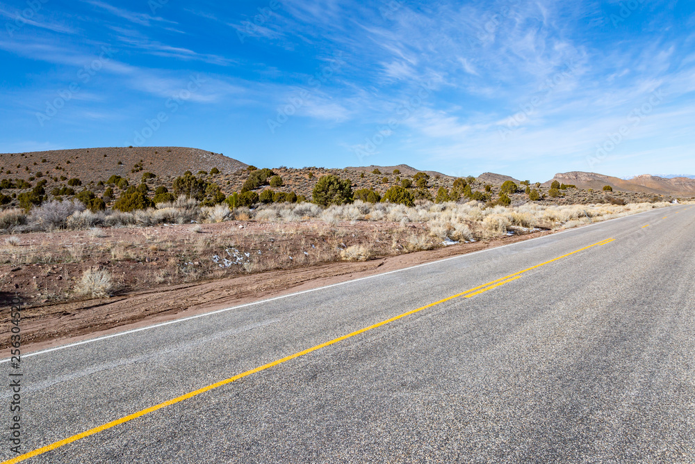 A Road through the Nevada Desert