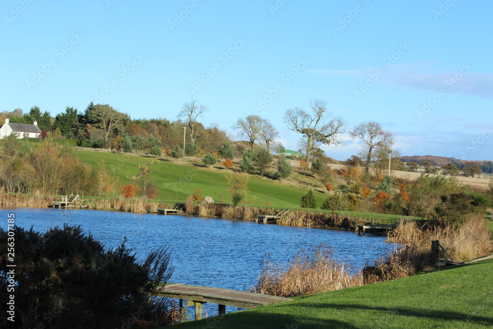 Fototapeta premium landscape with lake and trees