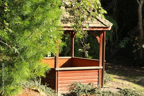 old wooden house in the garden