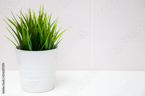 Closeup modern clean kitchen interior in scandinavian style with flower pot and grass plant on empty white wall background, place for your text. Minimal composition.