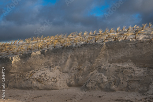 Germany, Mecklenburg-Western Pomerania, Darss, Ahrenshoop, West beach photo