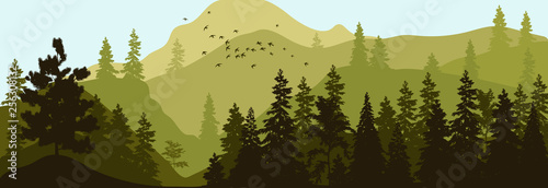 Vector illustration of panorama of silhouette of mountains and forest. Detailed alpine fir background