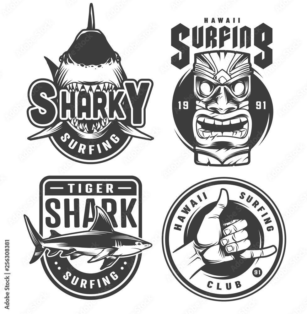 Obraz premium Vintage surfing monochrome emblems