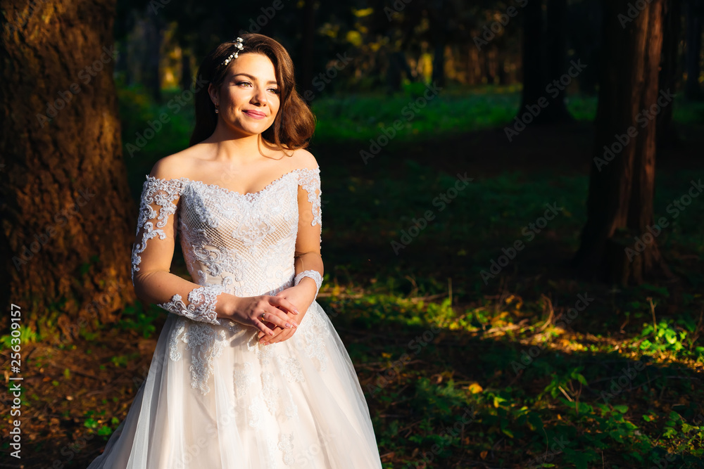 beautiful bride in her wedding dress with lace