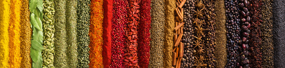 Panorama spices and herbs for food labels. Seasonings and flavors background