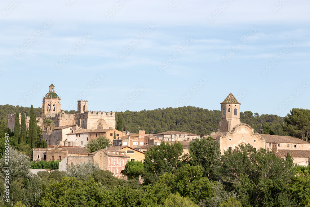 Monastery of Santa Maria de Santes Creus, Tarragona, Catalonia, Spain
