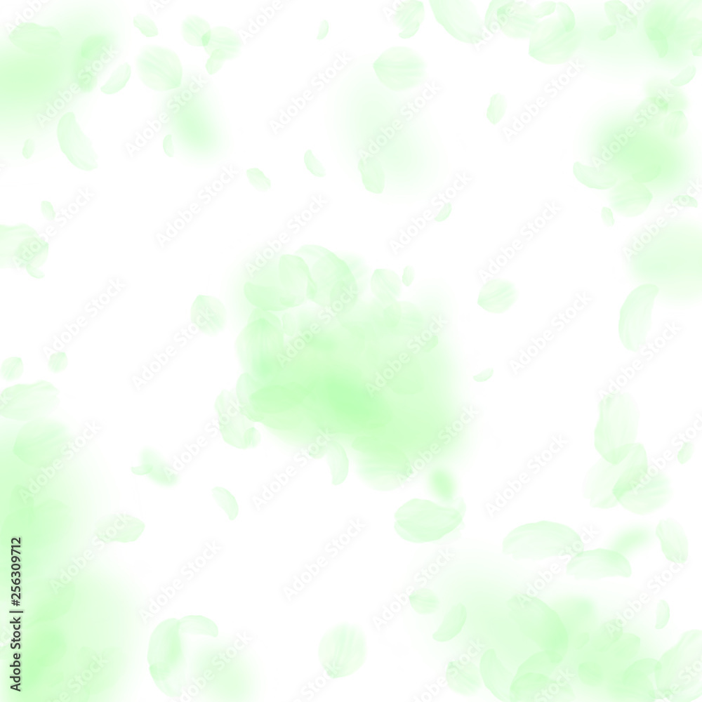 Green flower petals falling down. Modern romantic Green flower petals falling down. Modern romantic