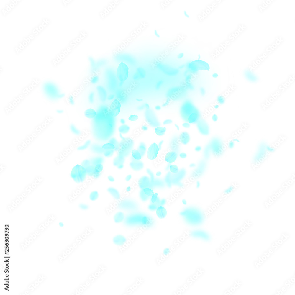 Turquoise flower petals falling down. Likable roma Turquoise flower petals falling down. Likable roma