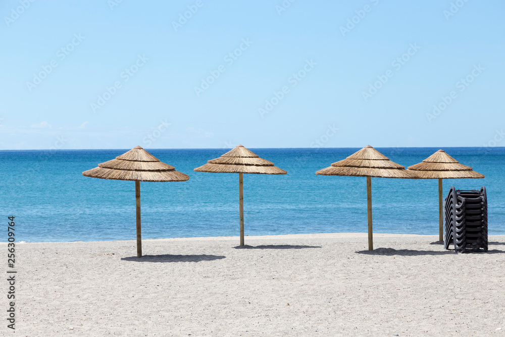 Beautiful palm tree sun umbrellas on the beach