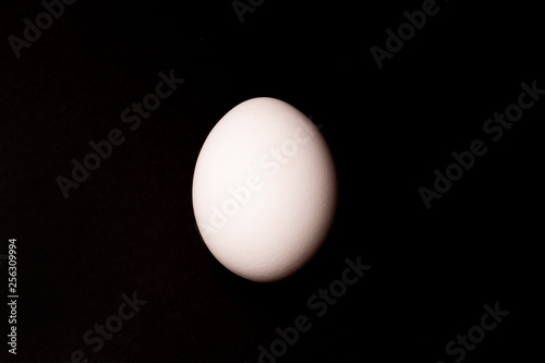 White egg on black background.
