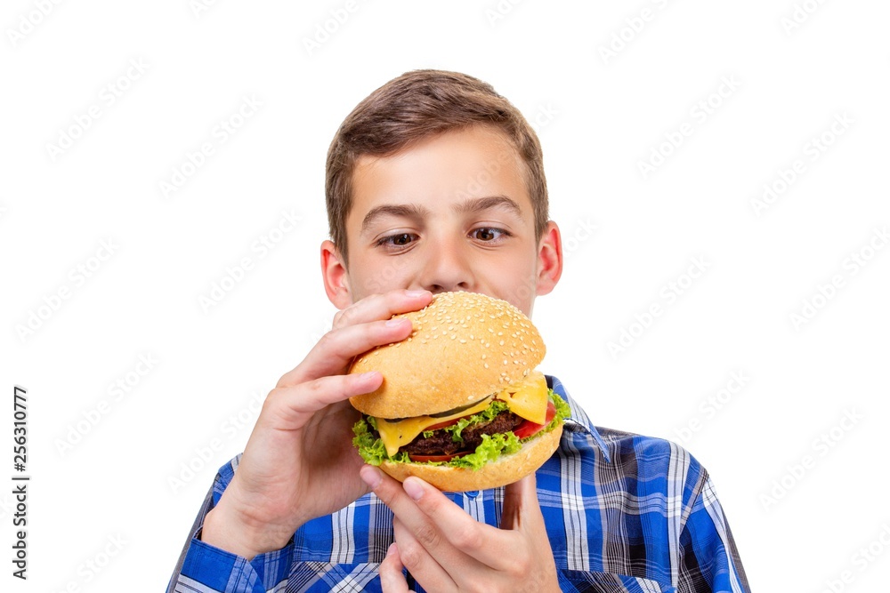 Caucasian boy eating burger and hamburger on white background, cheese. Caucasian boy eating burger and hamburger on white background, cheese.