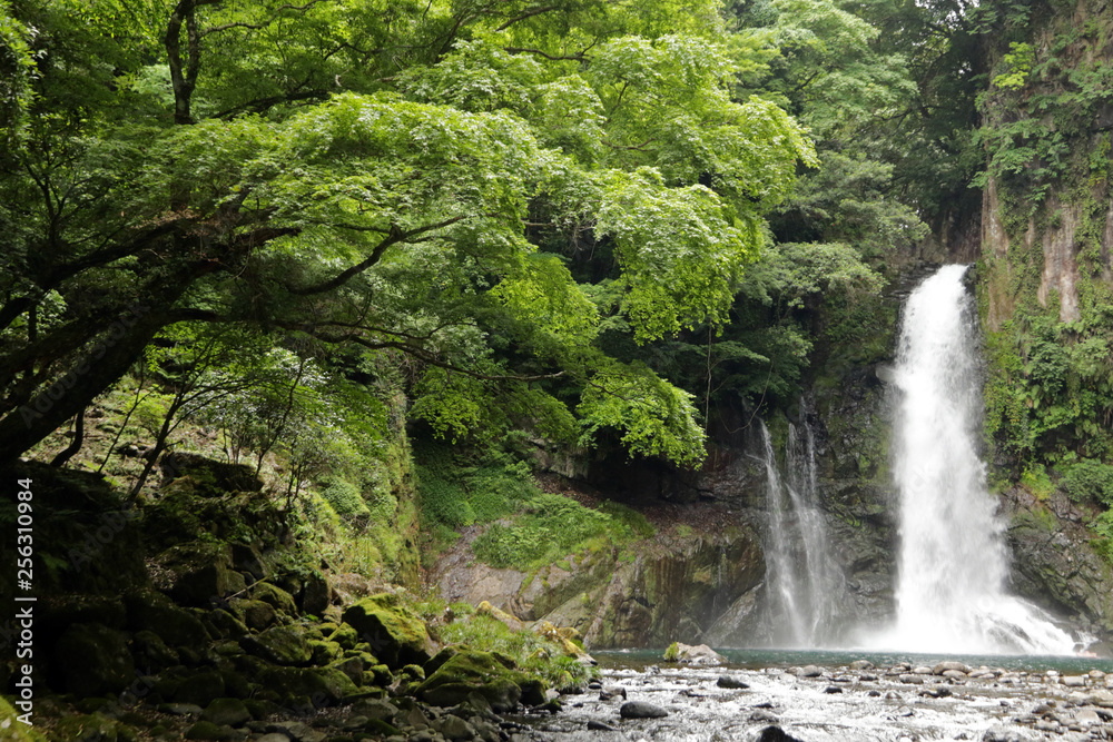 Kawazu Seven Falls, Izu Peninsula, Japan