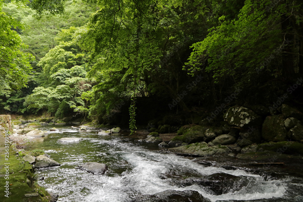 Kawazu Seven Falls, Izu Peninsula, Japan