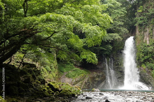 Kawazu Seven Falls  Izu Peninsula  Japan